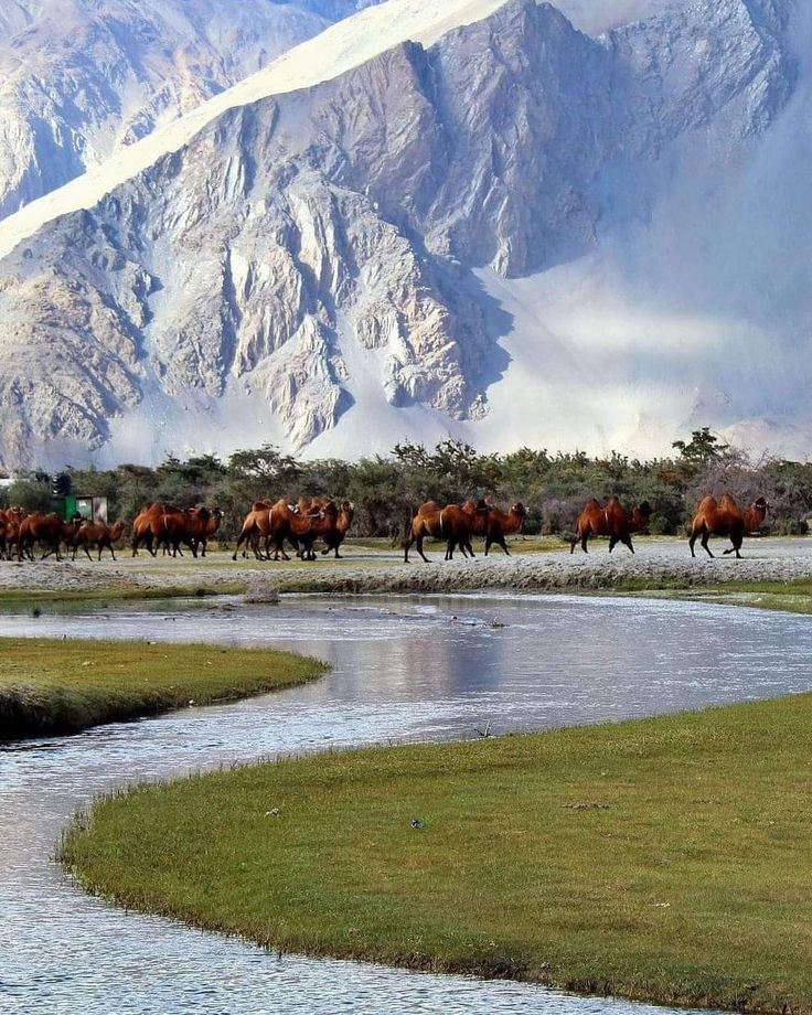 Top 12 Adventure Places in India to Visit in 2025