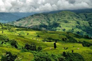 ziro -arunachal pradesh