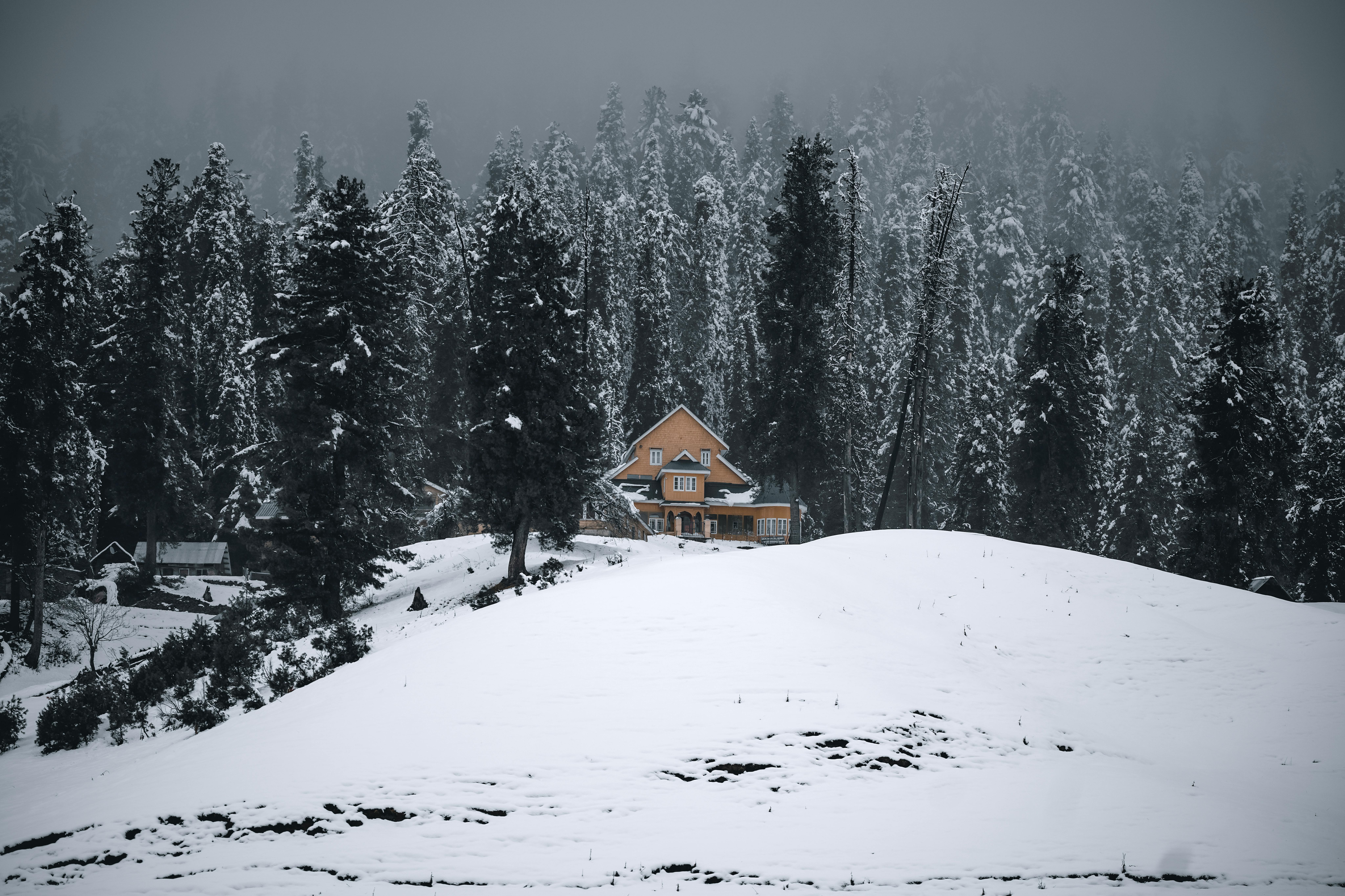 Gulmarg Trip in Winter